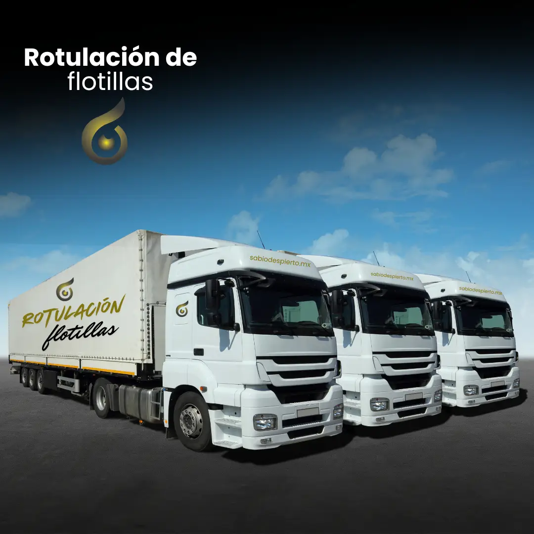 Projects sabiodespierto